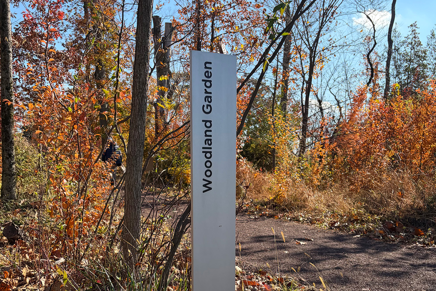 Temple University Ambler Arboretum